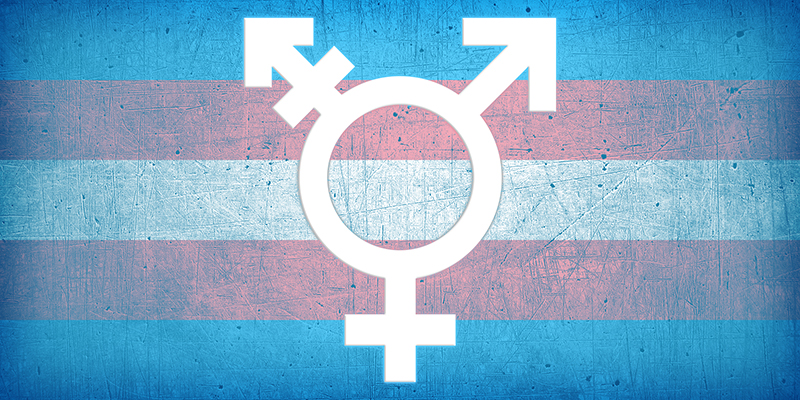 Trans flag